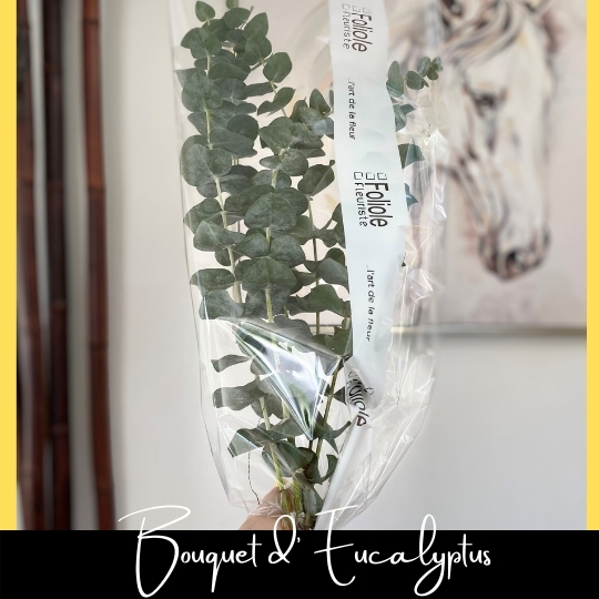 Bouquet d'eucalyptus fleuristefoliole.com