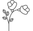 Fleur Crémation